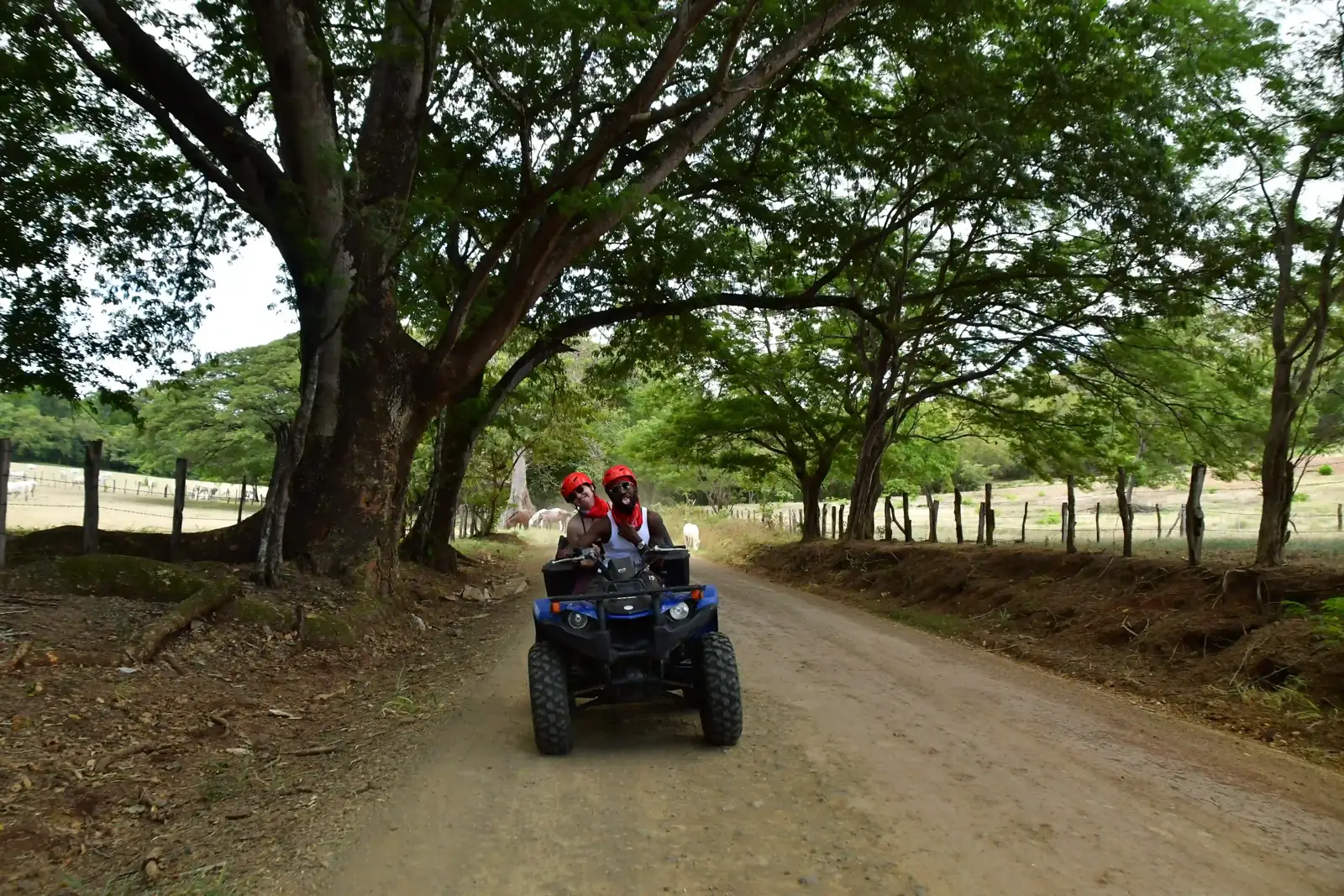 UTV Tour 4