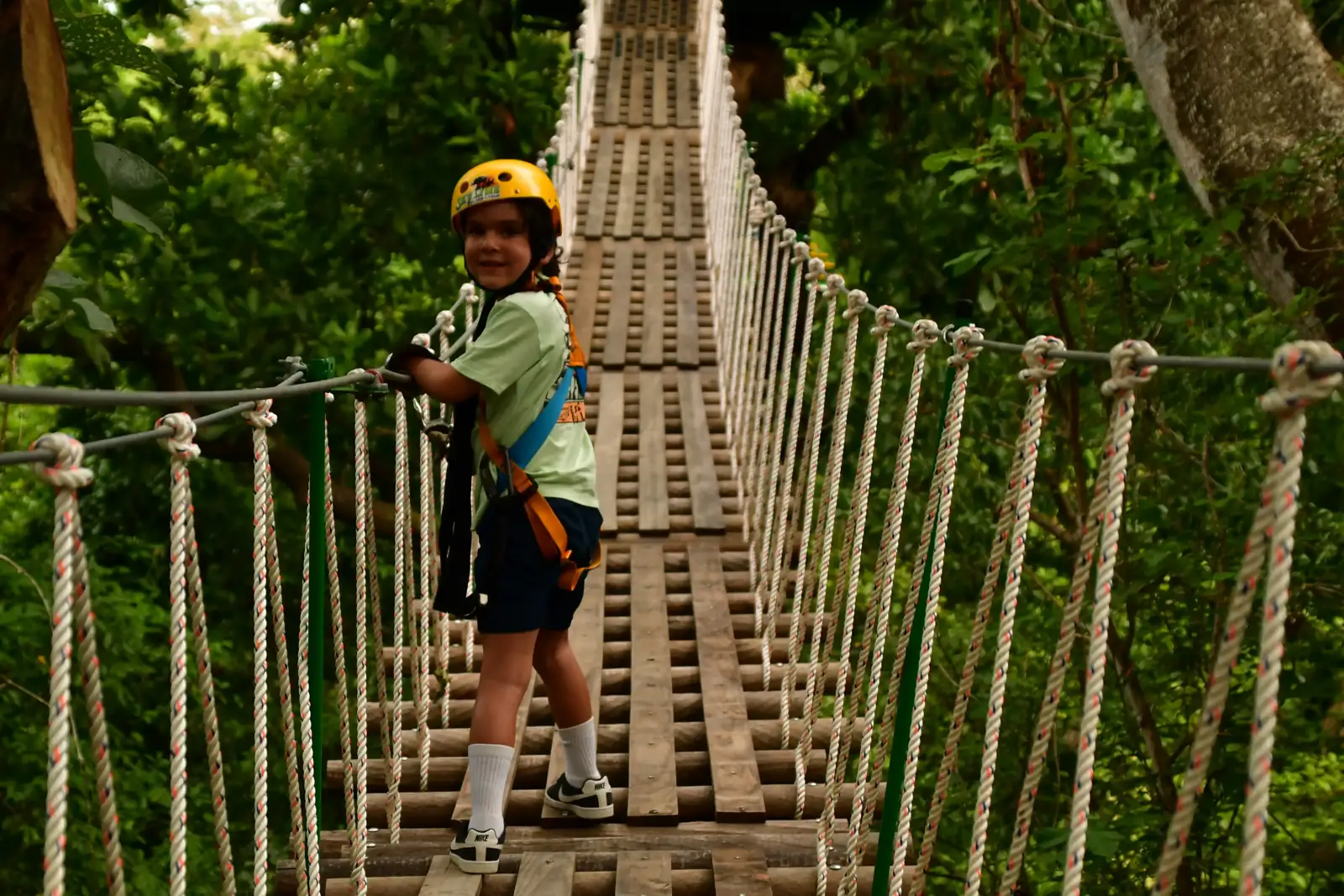 Zipline Family Tour 3