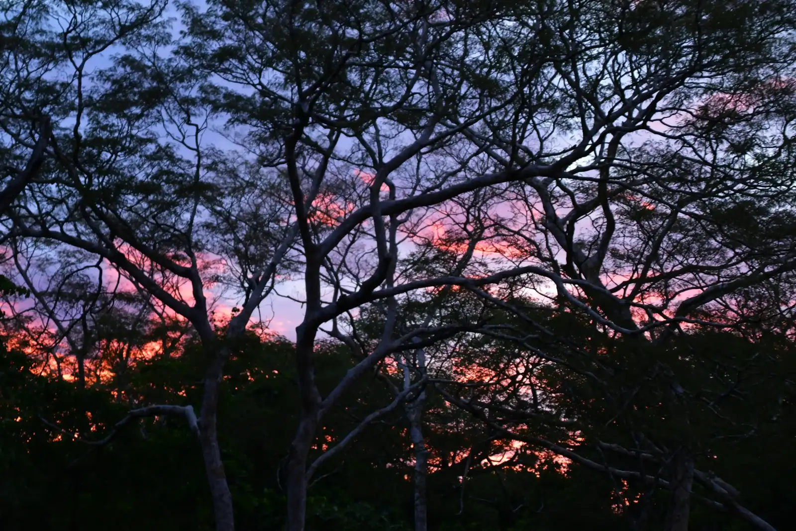 Zipline at Sunset 2