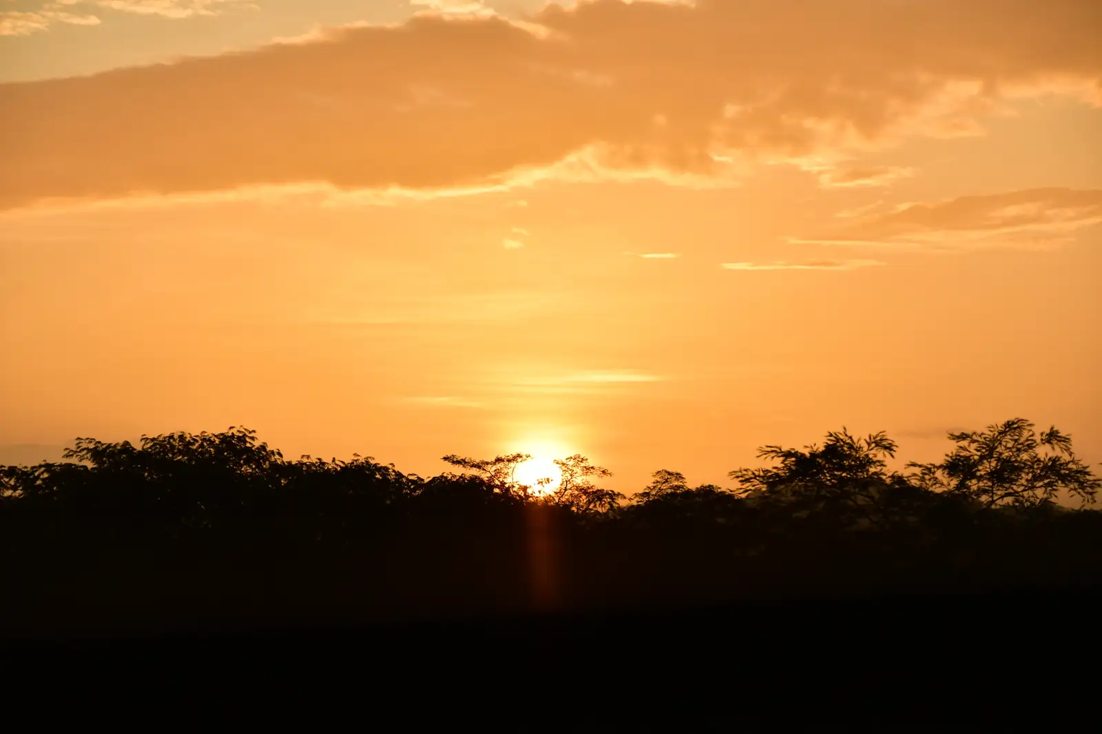 Zipline at Sunset 1
