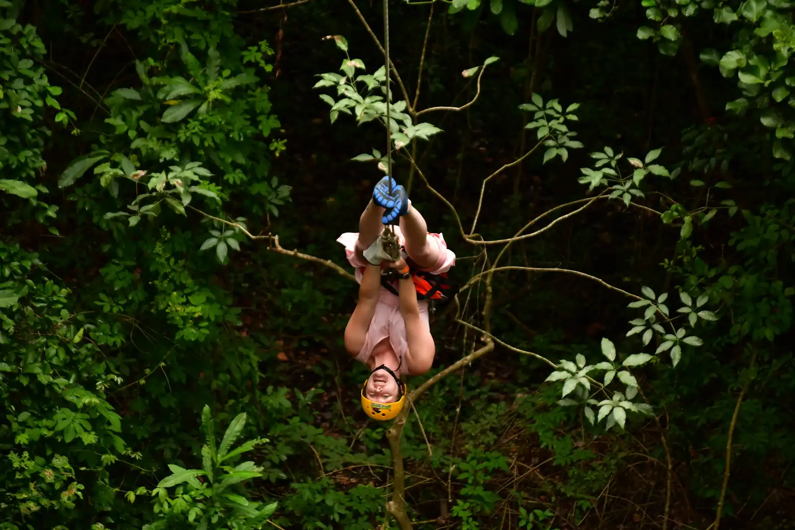 Next Level Zipline 2