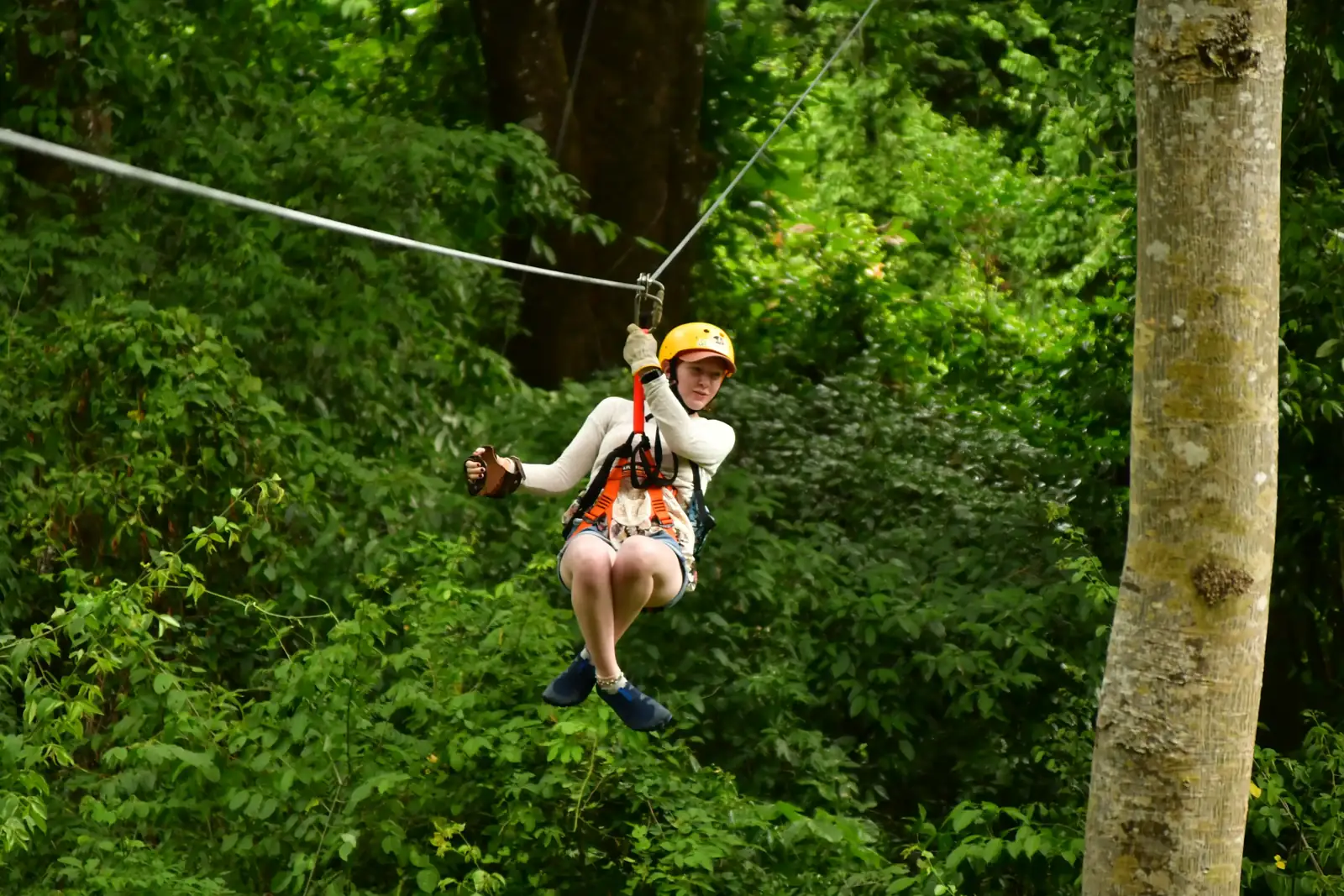 Aventura UTV + Next Level Zipline 5